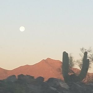 Meet your Posher, Debbie